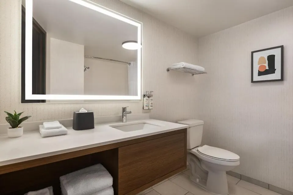 Holiday Inn Nashville Downtown - Stadium By Ihg USA