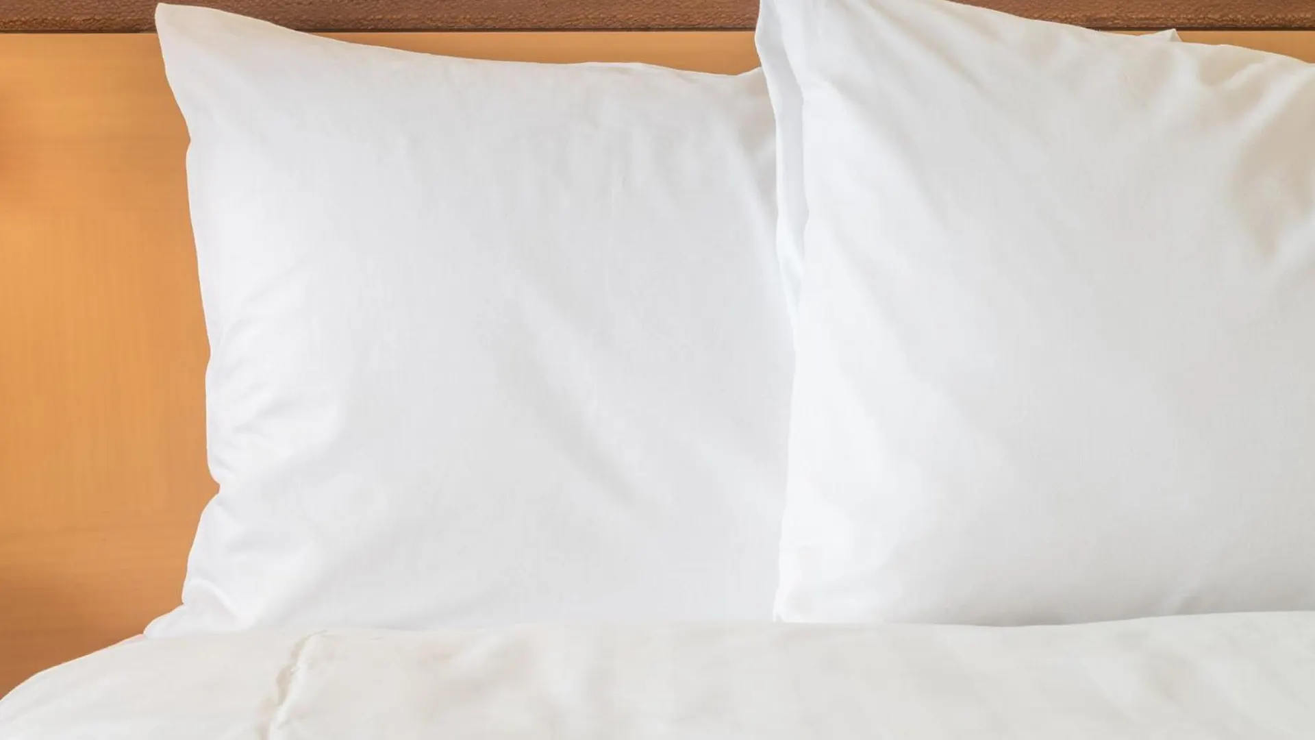 *** Hotel Holiday Inn Nashville Downtown - Stadium By Ihg USA