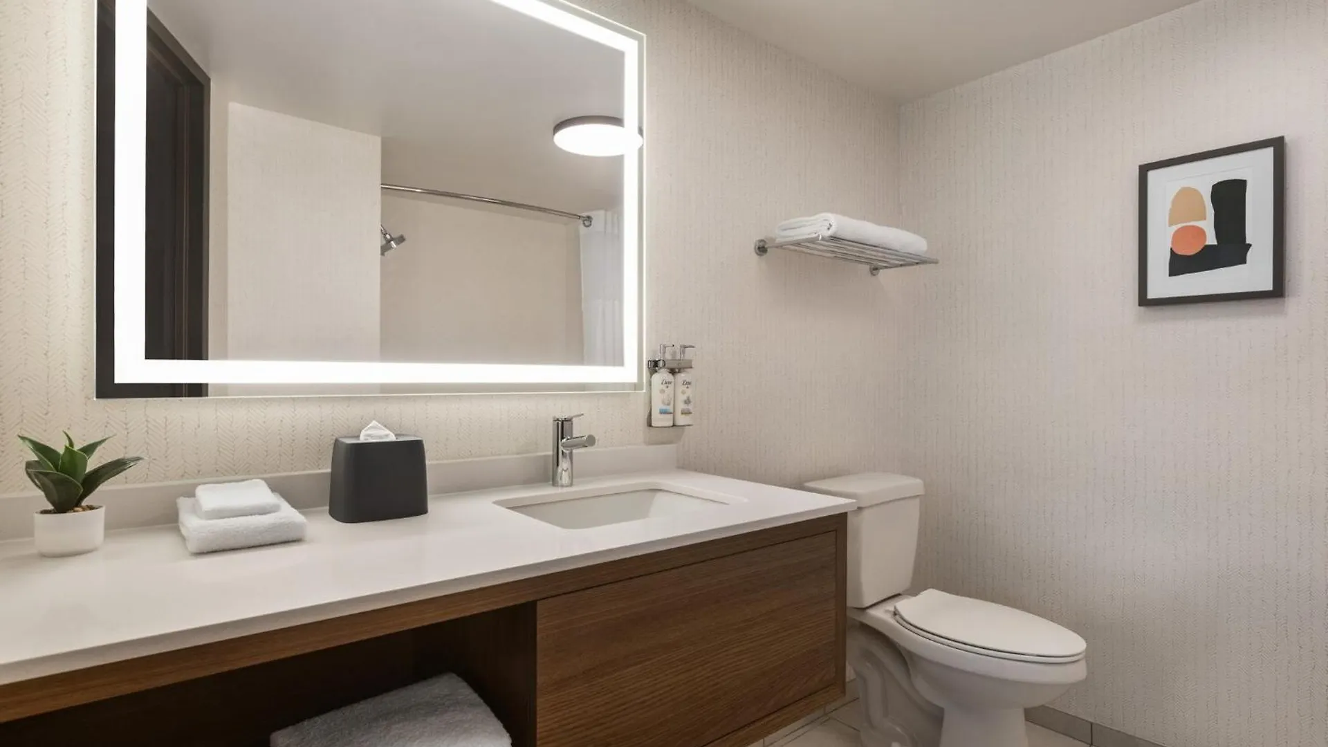 Hotel Holiday Inn Nashville Downtown - Stadium By Ihg